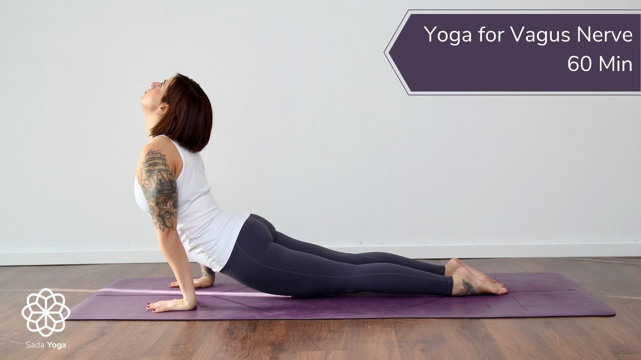 Details more than 73 vagus nerve yoga poses stylex.vn